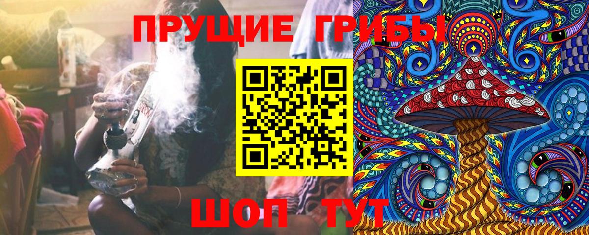 Псилоцибиновые грибы Psilocybe  Галлюциногенные грибы мухоморы  Курган  Вход с VPN 